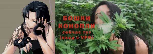 индика Богородицк