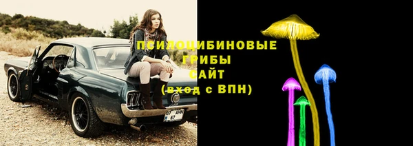 a pvp Богородск