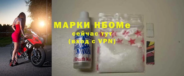 индика Кулебаки