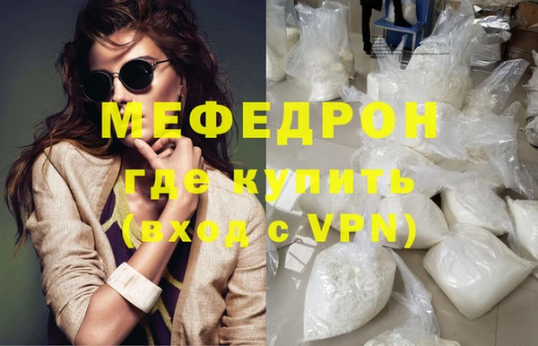 индика Богородицк
