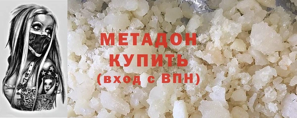 индика Богородицк
