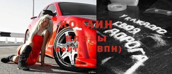 индика Богородицк