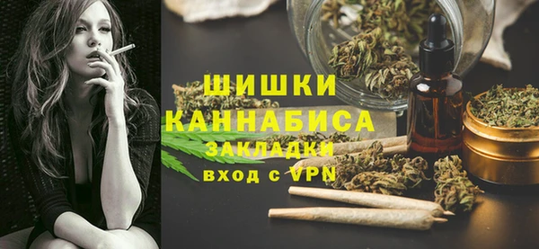 индика Богородицк